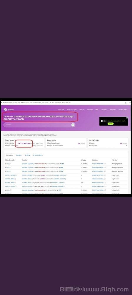 Pi项目动态:主网开放,中文区唯一交易所GATE,未来潜力与风险并存(8) Pi项目动态:主网开放,中文区唯一交易所GATE,未来潜力与风险并存(8)