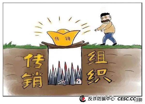 警惕 “兔子外汇保险基金”：量化交易外衣下的资金盘骗局预警(5)