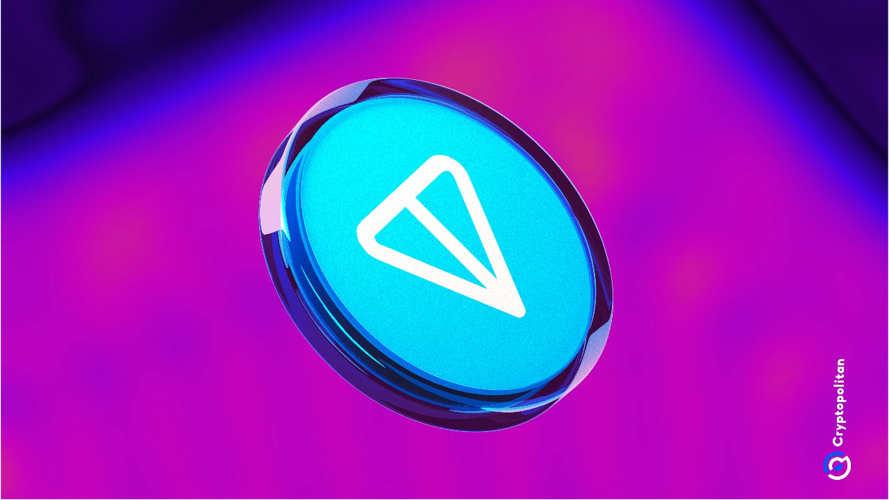 TON 区块链在短暂中断后恢复(1)