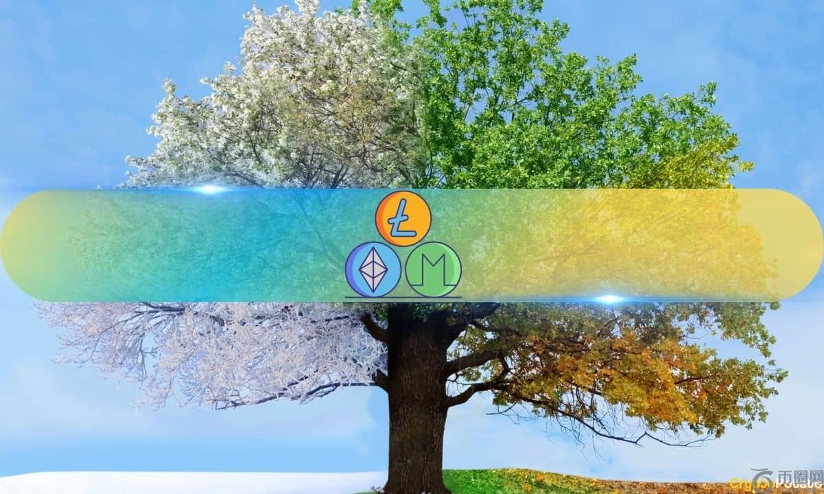 山寨币还有希望吗？分析师预测本轮牛市将迎来史诗级结局(1)