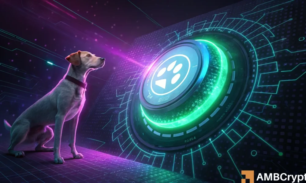 dogwifhat：如何从 WIF 下跌 24% 中获利(1)