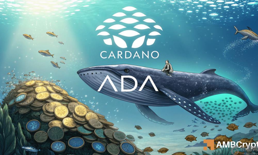 卡尔达诺鲸鱼全力抢购 1.2 亿 ADA：这会引发反弹吗？(1)