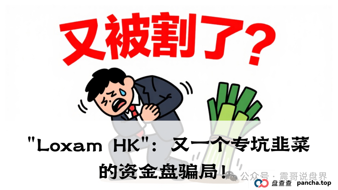 震哥带你扒皮＂Loxam HK＂：又一个专坑韭菜的资金盘骗局！(1)
