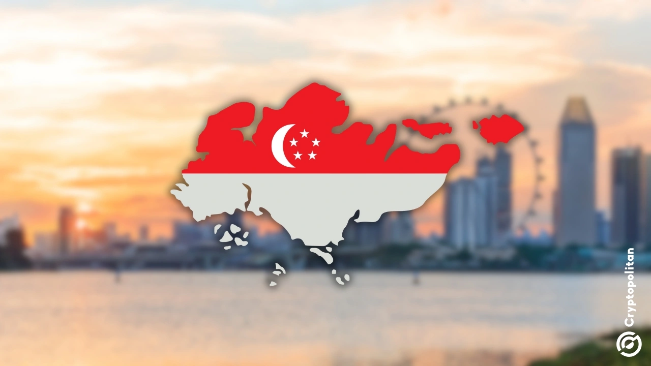 新加坡淡马锡在 2.75 亿美元 FTX 投资教训后减少对初创企业的投资