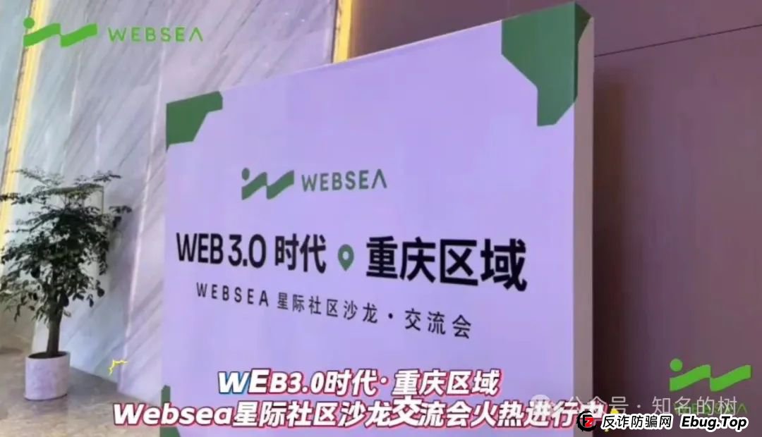 别再被蒙在鼓里！Websea资金盘真相全揭秘！