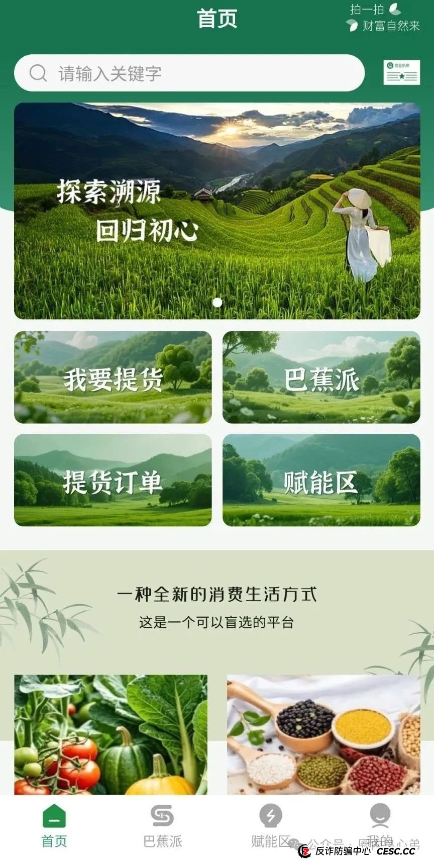 悠然境-巴蕉派小红蕉，互助竞拍骗局，过往类型有办案部门通报，注意警惕。(4)