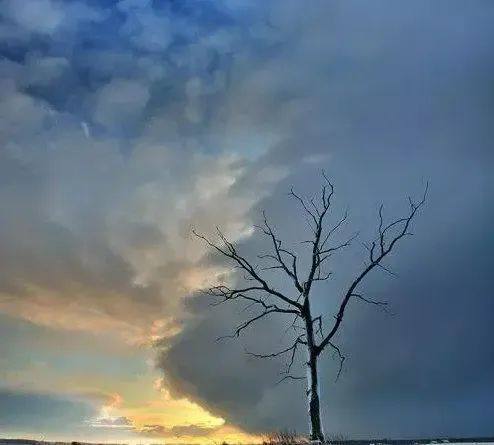 币圈被骗资产追回全攻略：2025最新维权指南(7)