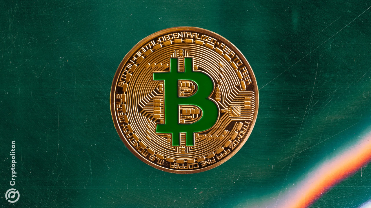 加密货币基金每周流入量达到 2.86 亿美元；以太坊创下美国大选以来最强劲表现(1)