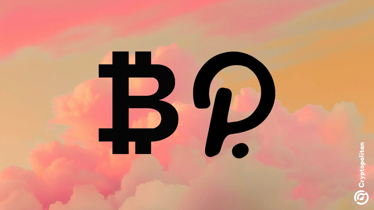 Polkadot 社区成员将比特币作为财政稳定策略(1)