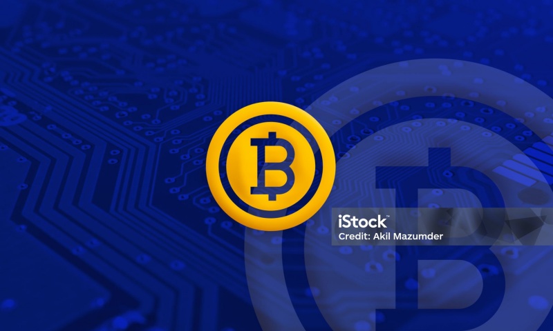 比特币能否成为全球通用的支付手段？比特币的未来前景分析(3)