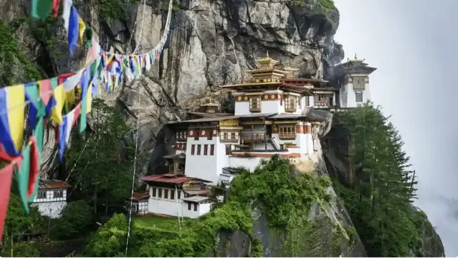 IMF“加密禁令”曝光：450亿美元贷款暗藏玄机(14)