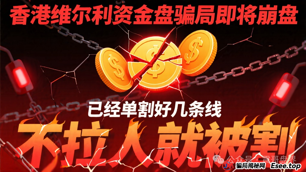 香港维尔利资金盘骗局即将崩盘，已经单割好几条线，不拉人就被割(1)