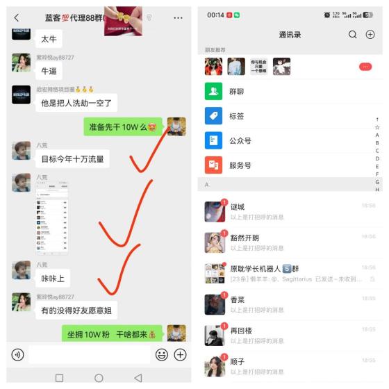 蓝客APP全新推广平台 每天引流300+精准创业粉 赚钱快(3)