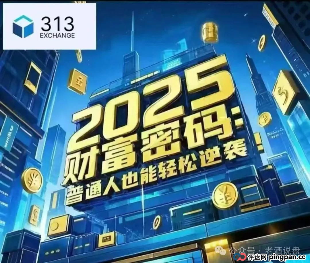 生死时速！“313 交易所”跟单骗局病入膏肓，崩盘倒计时已拉响！！！(2)