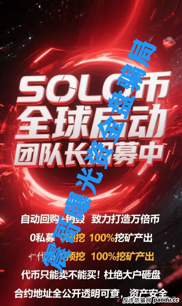 扒皮【SOLO】：这破项目连代币都搜不到，你还敢往里冲？(3)