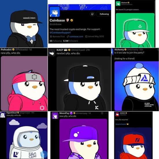 胖企鹅Pudgy Penguins刷爆加密圈：NFT文化新风向标！(1)