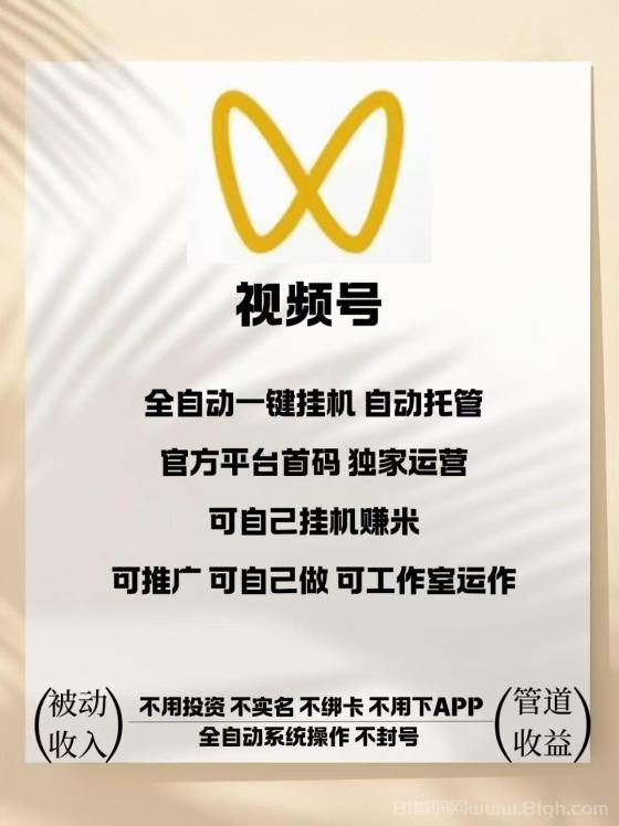 视频号免费AI挂机项目：单窗口日赚17-50元，零人工全自动长期收益(2)