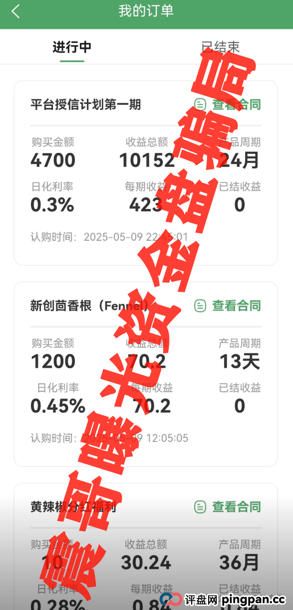 新创人SCEA最新骗局起底！震哥血泪警告：韭菜们快跑！(3)