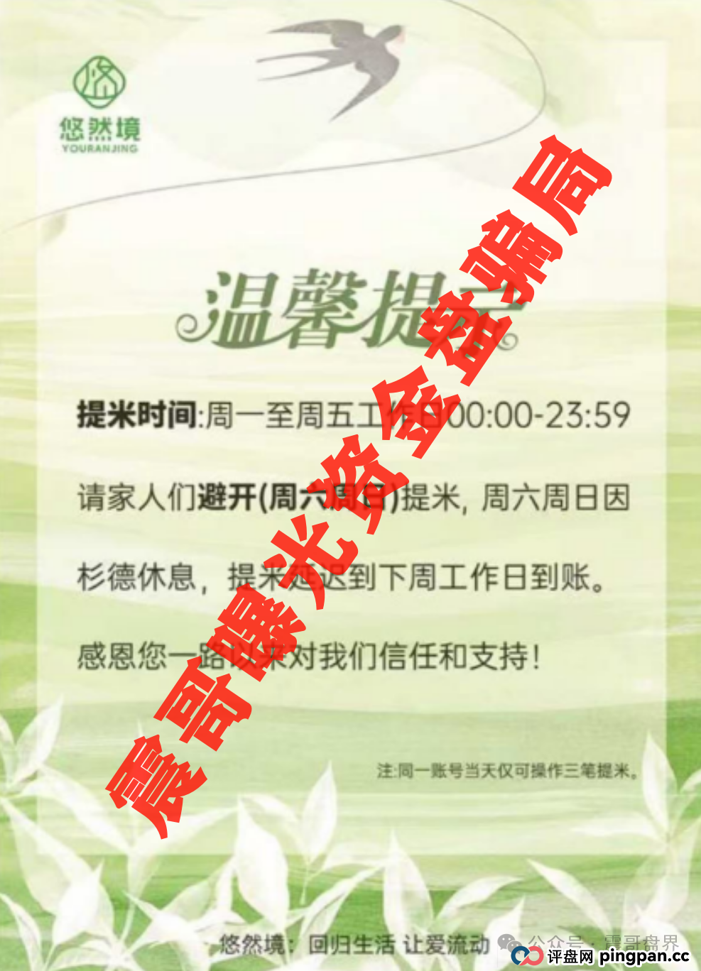 【悠然境暴雷预警】震哥曝提现异常！盘子要翻车？(3)