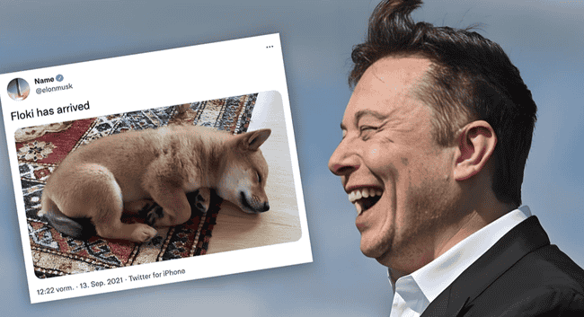 比特币、狗狗币、稳定币：孩子也能懂的区块链科普与未来(4)