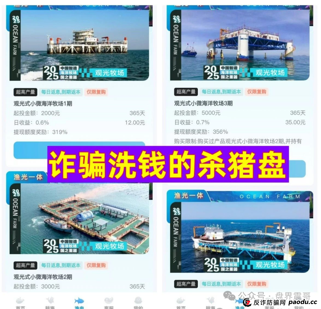 海洋牧场资金盘骗局！震哥教你识破割韭菜新套路(2)