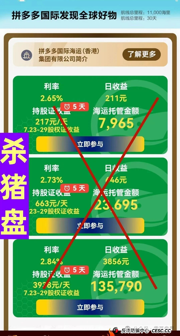 拼多多国际版（TEMU国际）骗局大揭秘！震哥带你扒光它的皮！(4)