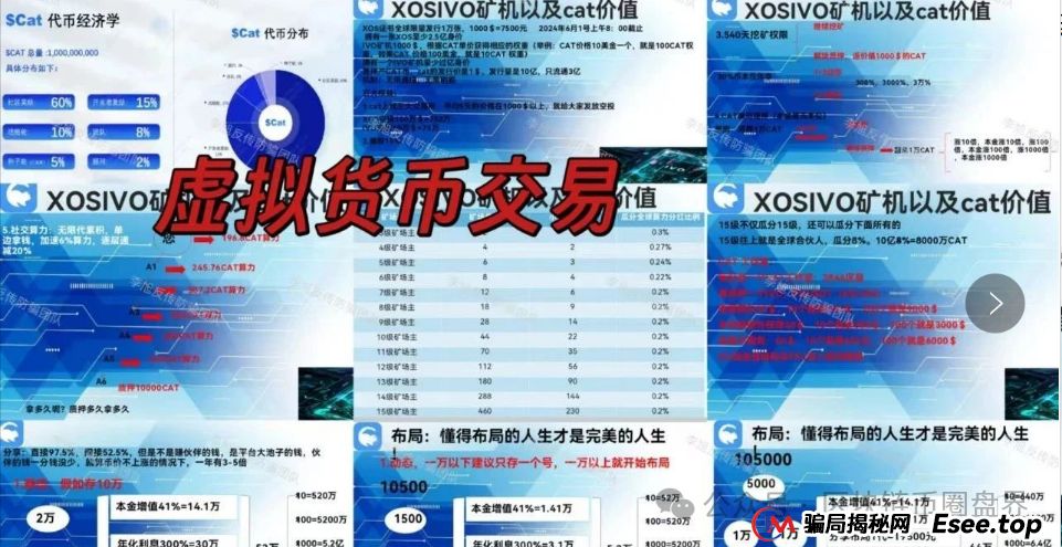 警告！Cococat web3菠萝猫＂CAT代币＂“质押挖矿”传销骗局(1)