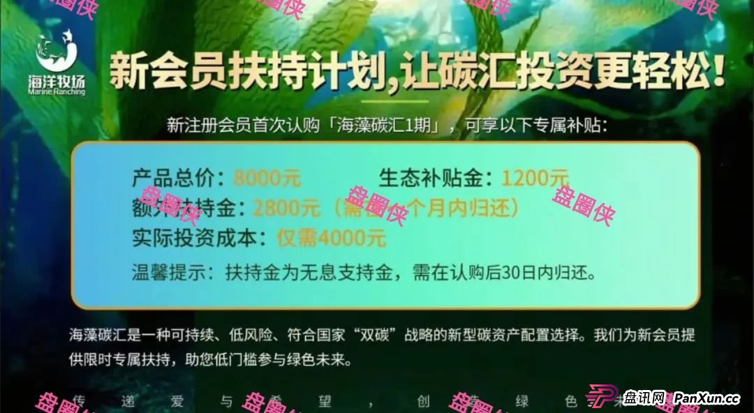 8月底曝光曝光3个资金盘项目骗局，CFXH-DAO，海洋牧场，益友荟随时可能卷钱跑路(2)