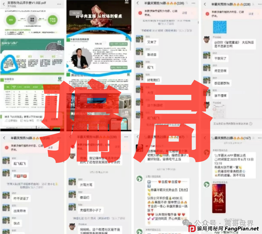 羊霸天美丽牧场：震哥带你扒皮这个空壳骗局(4)