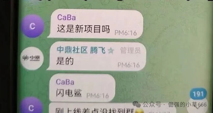 VAX刚崩，“闪电鲨AI”又来了！原班人马换皮收割，这次别再上当！(4)