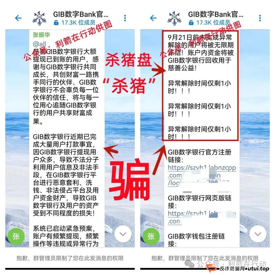 警惕！中国福币，小米稳定币，玉山金控，PaxProtocol...这8个互联网项目都是挖坑设套的骗局！赶紧远离，赶紧跑！(10)