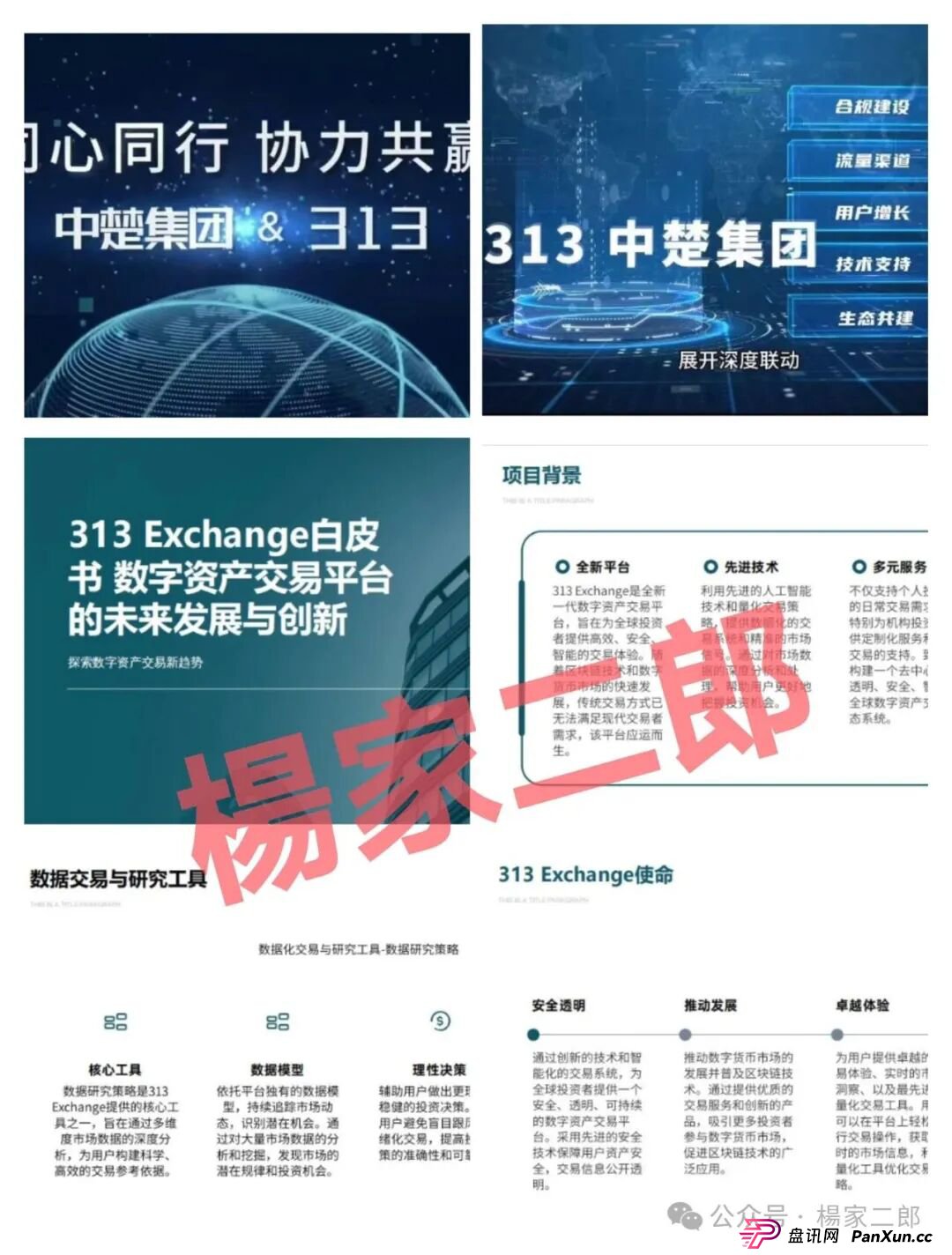 “中楚集团313交易所”跟单类资金盘骗局，已拔网线彻底凉凉(1)