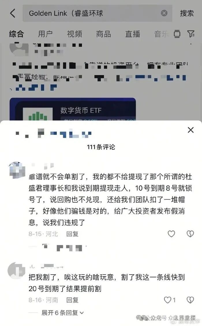 Golden Link（睿盛环球）资金盘骗局，目前泡沫巨大，高度预警，即将崩盘跑路！(2)