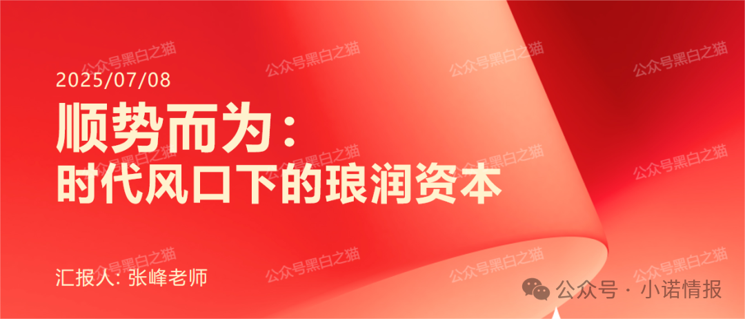 伪冒“琅润资本”虚拟币资金盘，悄然在国内发芽，风险积聚随时崩盘......(8)