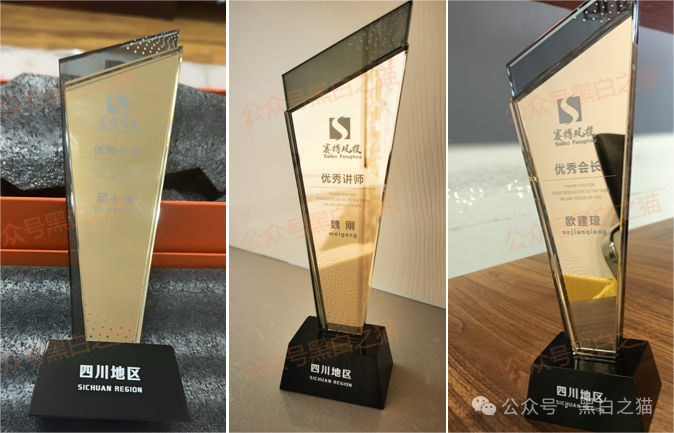 资金盘｜“赛搏资本&amp;amp;恒富证券”钓鱼式打劫，盘总肉身在外不惧负面，国内工作室何去何从......(9)