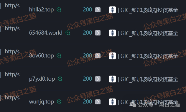 资金盘｜假冒新加坡政府“GIC”基金，欺诈国内人参与虚拟币投资，请远离避免被洗劫一空......(6)
