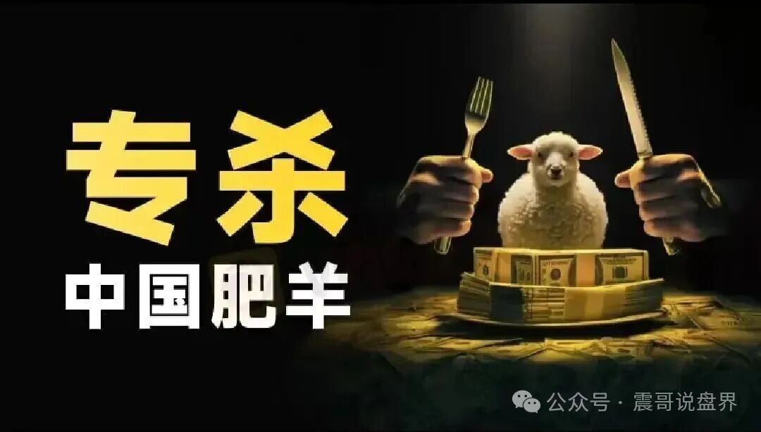 CodexField资金盘骗局，操盘团队之前干洗钱的，看见远离(2)