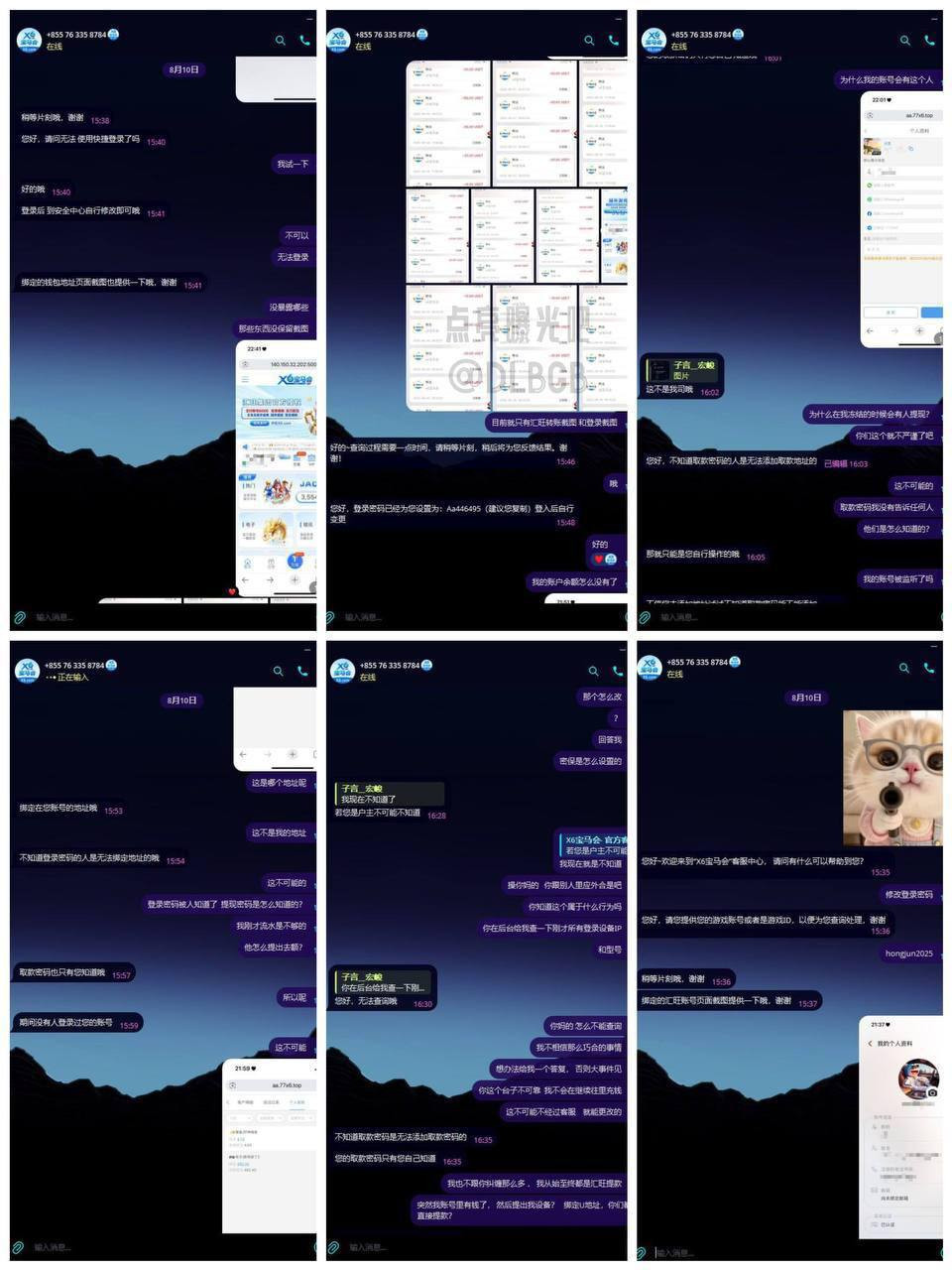 黑平台X6宝马会员工与外部人员勾结盗取账户资金(1)
