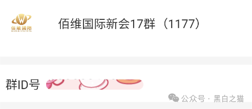 资金盘｜诈骗园区伪冒“斯特恩资本”，年底将至，请投资人赶紧提现下车......(7)