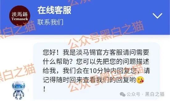 资金盘｜“淡马锡控股”遭诈骗碰瓷，新加坡官网设立警报提示......(7)