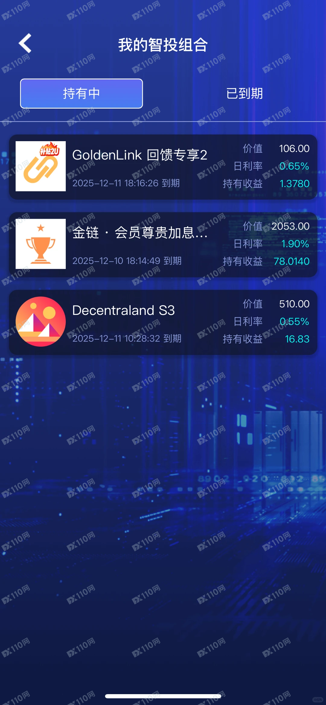 Golden Link杀猪盘(2)