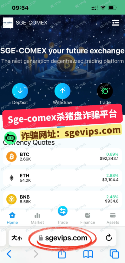 SGE-COMEX虚假交易，诈骗黑平台币杀猪盘！(1)