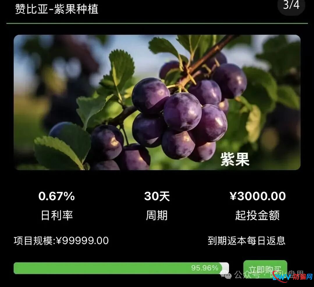 资金盘预警：“华洋绿投”以海外农业为幌子，日息0.67%起，崩盘前最后的提现机会(2)