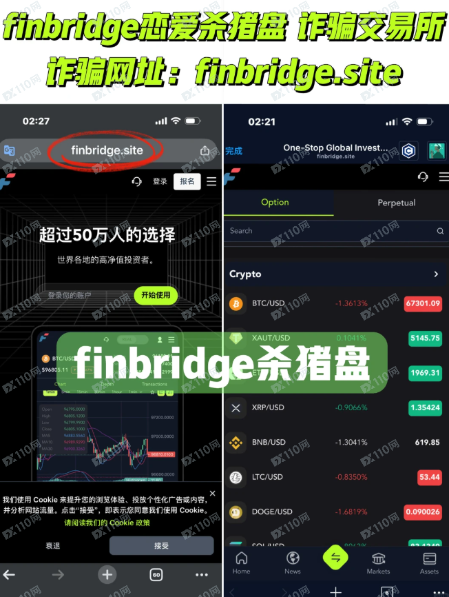 曝光Finbridge恋爱杀猪盘诈骗交易所(1)