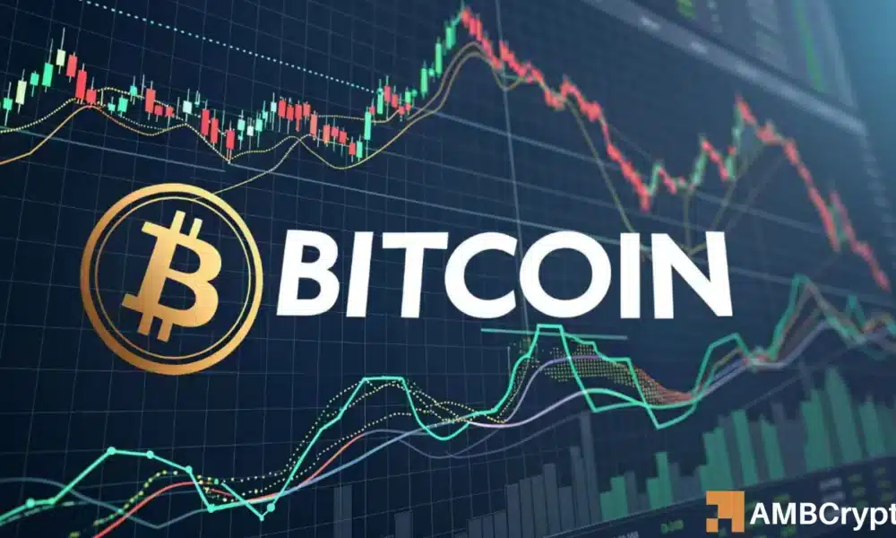 比特币的长期价格目标——下次减半后为 466,000 美元？(1)