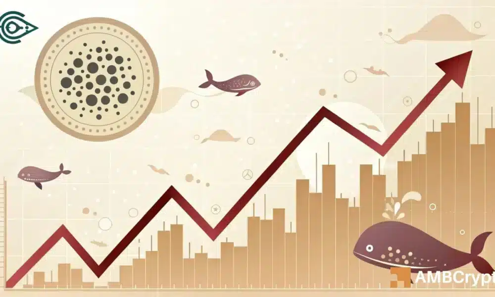 卡尔达诺是本周跌幅最大的货币之一，但这暗示着复苏(1)