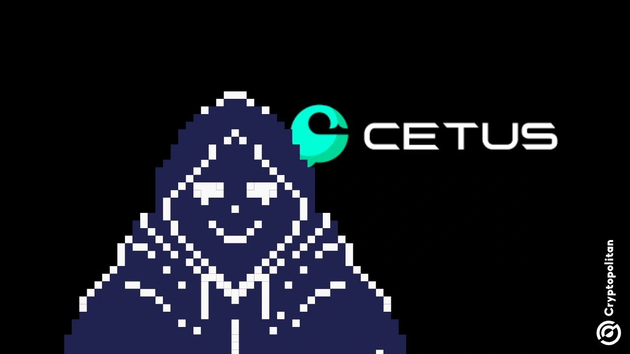 Cetus 要重新赢得社区的信任还有很长的路要走(1)