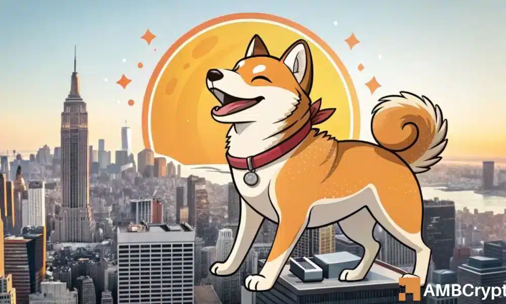 柴犬能否突破这种看涨模式？如果可以，下一步是什么？(1)