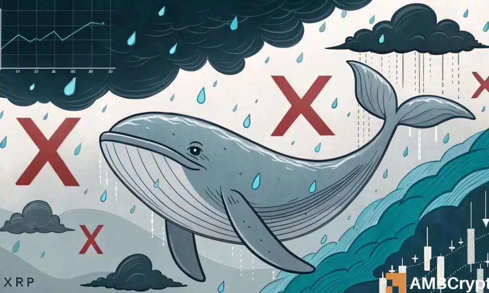 分析 XRP 的 4 天下跌：鲸鱼退出；散户该介入了吗？(1)