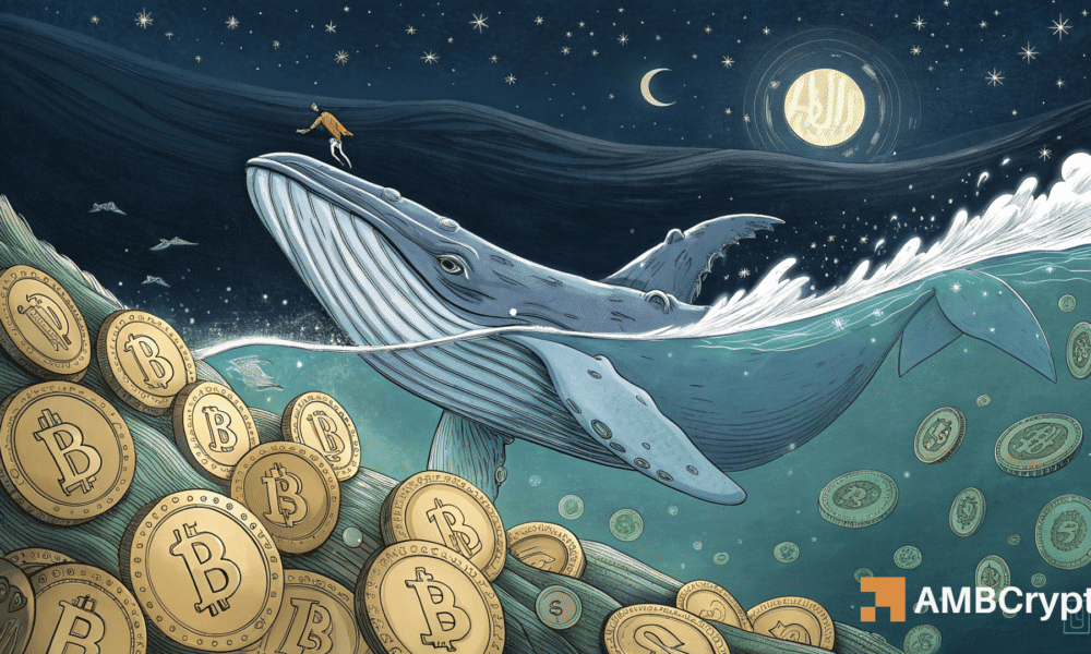 比特币的拉锯战：鲸鱼押注 2 亿美元，空头筹码增至 10 亿美元——下一步是什么？(1)